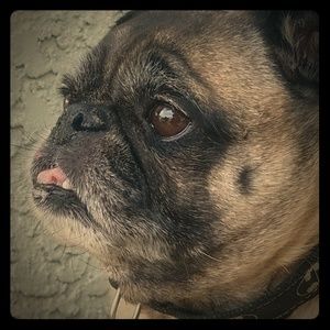 Meet your Posher, Samm